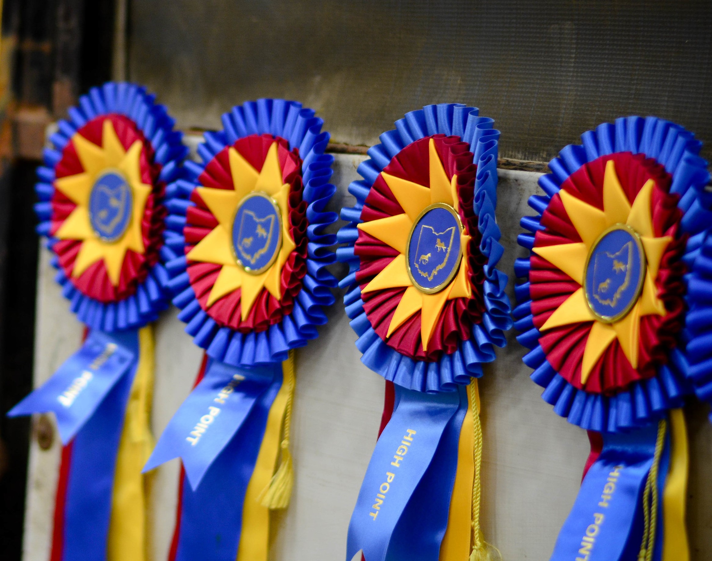 Equine Affaire 2022 Ohio Schedule - 00qzq8b